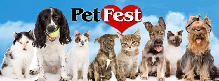 "Virtual" Pet Fest Missoula - August 21 thru 23