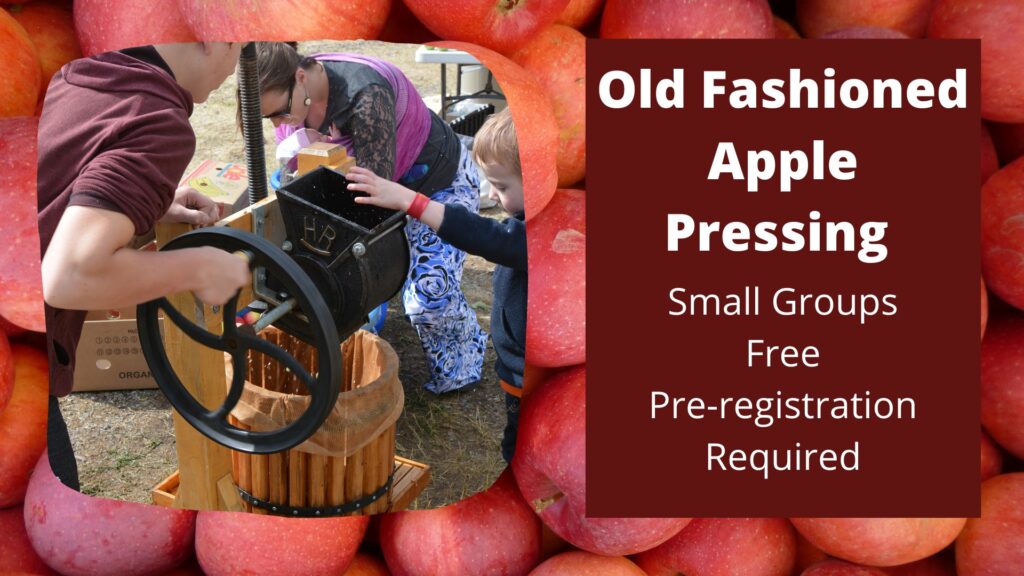 Old Fashioned Apple Pressing