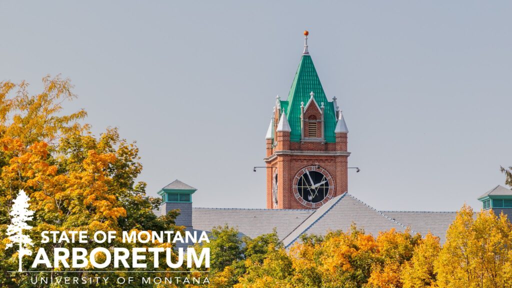 State of Montana Arboretum