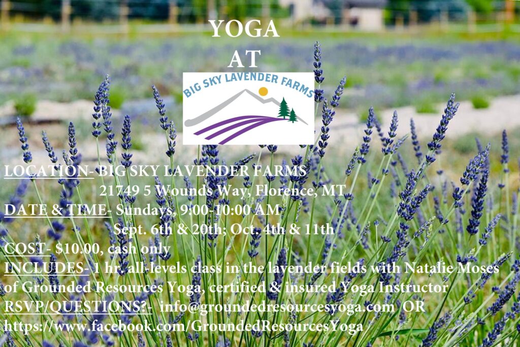 Yoga at Big Sky Lavender Farms