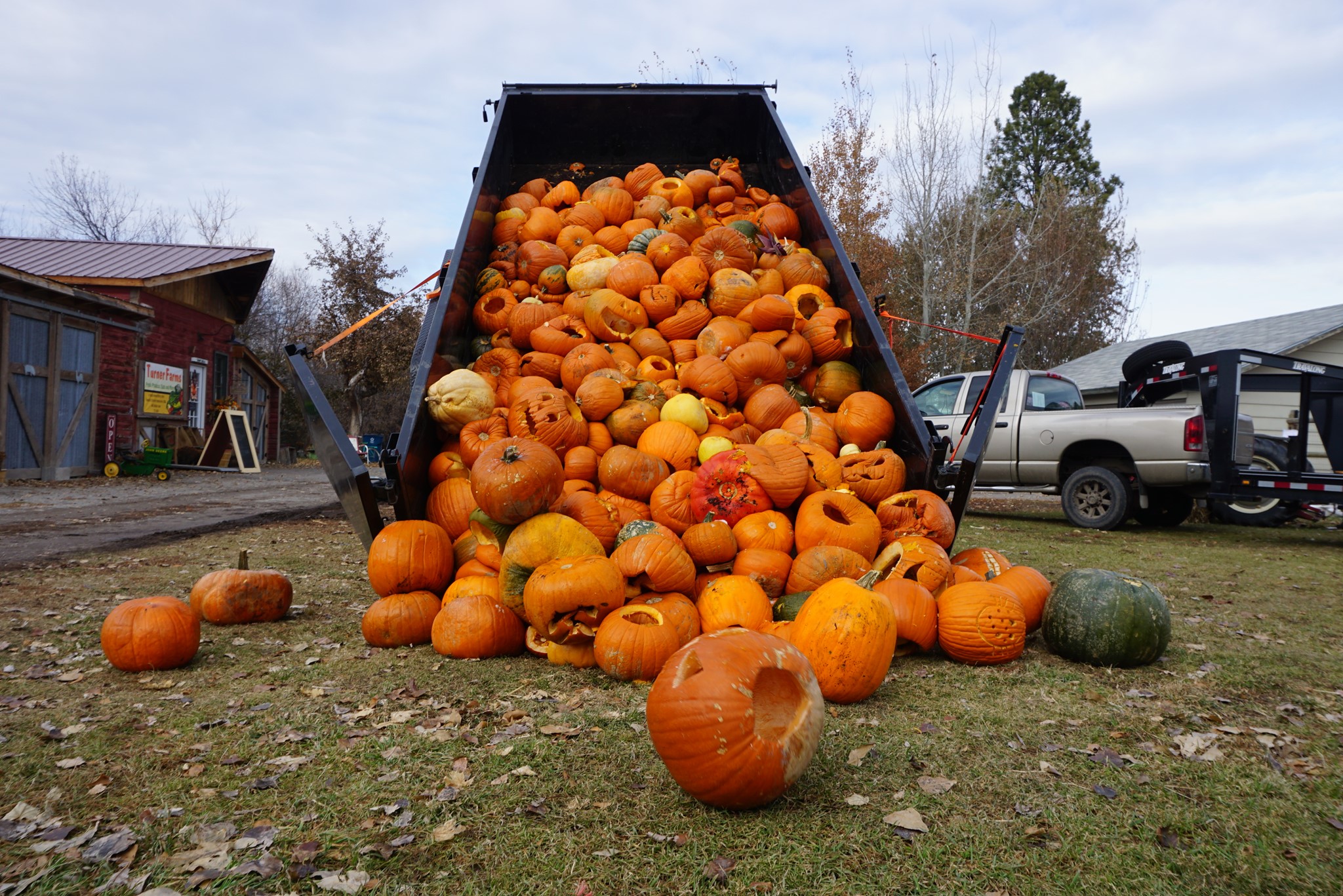 Pumpkin ReHarvest 