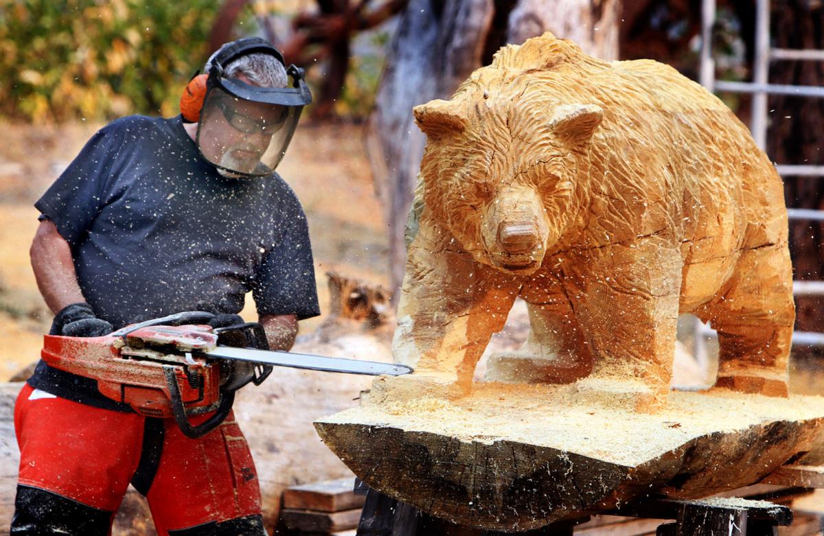 Chain saw carving