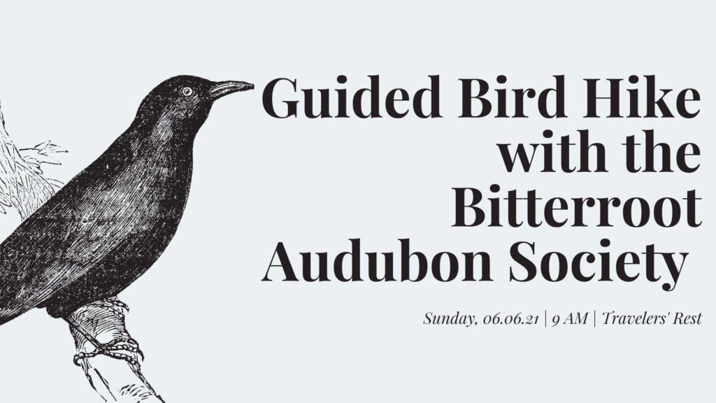 Guided Bird Hike withthe Bitterroot Audubon Society