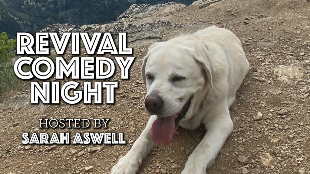 Revival Comedy Night for AniMeals
