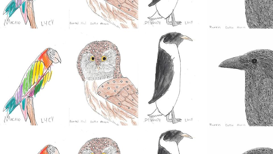 Missoula Bird Nerds – Works by Dottie Moon Angilan Herring & Lucy Jones Niamin Herring