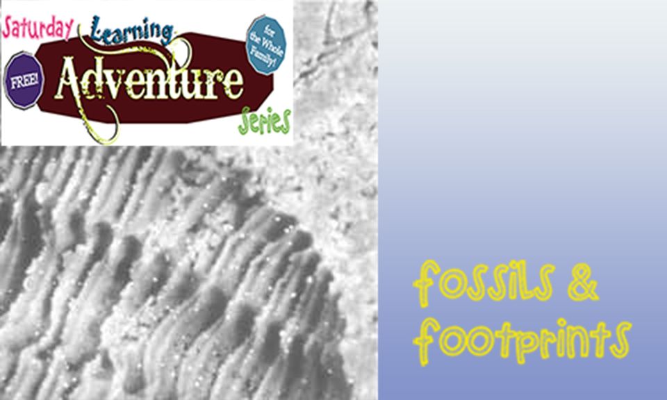 Fossils & Footprints