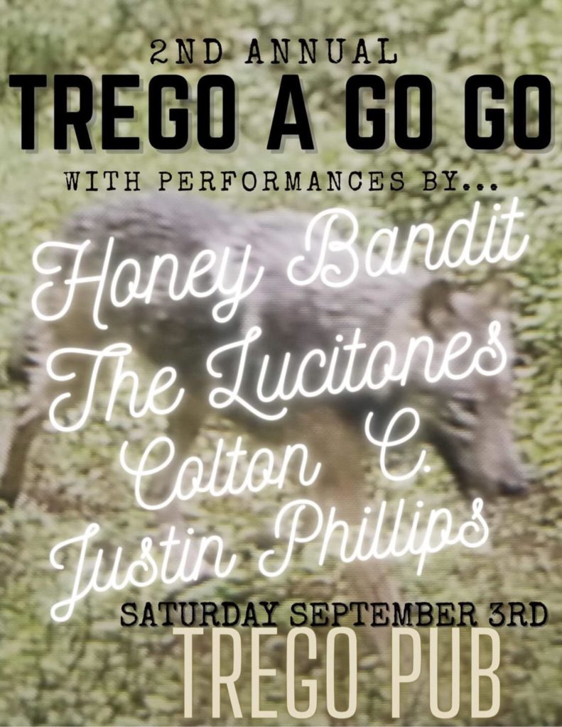 If you make the trip to Trego on Saturday, you’ll be treated to the 2nd Annual Trego-a-Go-Go night of music at the Trego Pub & General Store – free show, music starts at 5:00 pm