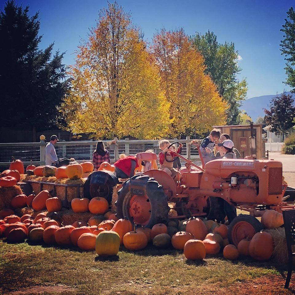 Annual Pumpkin Festival
