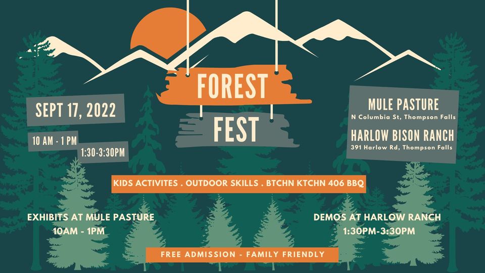 Forest Fest