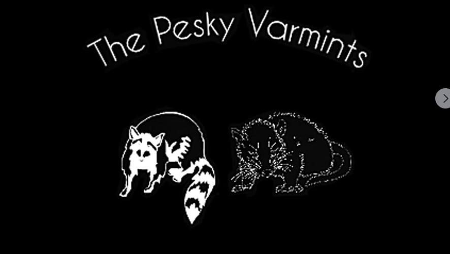 The Pesky Varmints