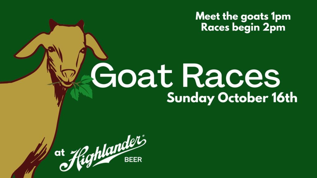 Goat Races at Highlander Beer